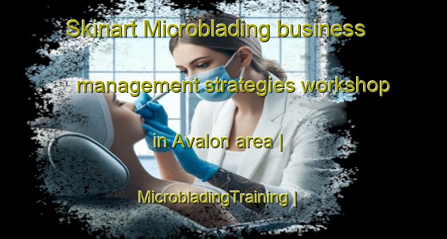 Skinart Microblading business management strategies workshop in Avalon area | MicrobladingTraining | MicrobladingClasses | SkinartTraining-South Africa